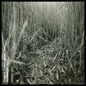 久久99中文字幕伊人
